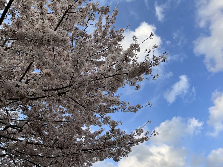 ４月入会特典のお知らせ